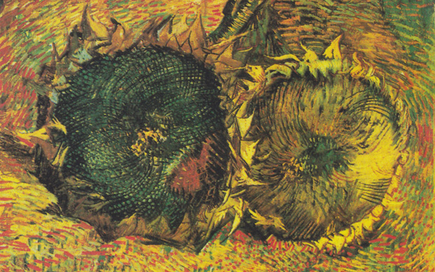 Vincent Van Gogh, (particolare) Due girasoli, 1887