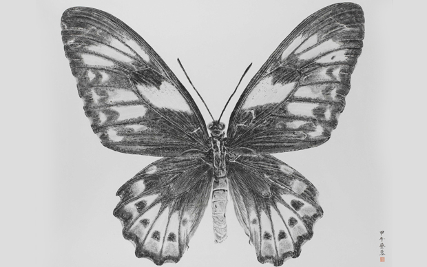 Zhang Yirong, Butterfly, 2014. Courtesy l'artista e Alisan Fine Arts