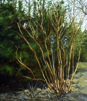 Andrea Di Marco, Eden, olio su tela, 70x60 cm