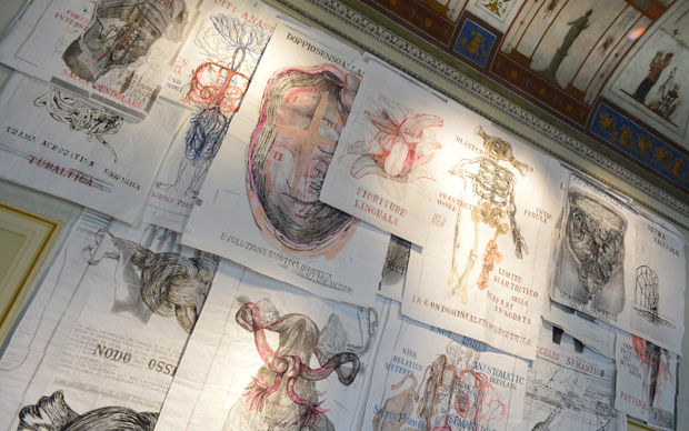 Sissi, VolumeInterno, 2012 , installazione a Palazzo Reale - Milano per la mostra Growing Roots - 15 anni del Premio Furla 