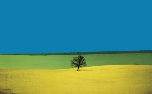 Franco Fontana, Puglia, 1987