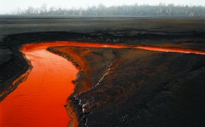 Edward Burtynsky, courtesy Nicholas Metivier Gallery, Toronto Flowers, London