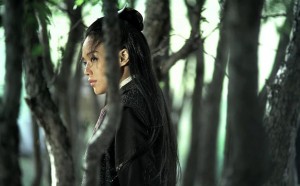 Hou Hsiao Hsien, The Assassin