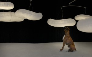 studio molo, cloud_softlight