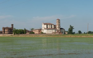 Risaie e Abbazia di Lucedio