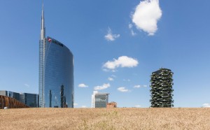 Agnes Denes, Wheatfield, Milano, 2015