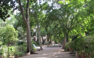 Giardino_dei_semplici, Wikipedia