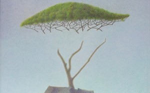 Massimo Turlinelli, Di-visioni