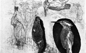 Luigi Bartolini Storia-del-martin-pescatore