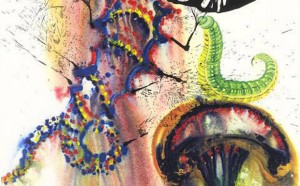 alice-nel-paese-delle-meraviglie-illustrato-da-salvador-dalì