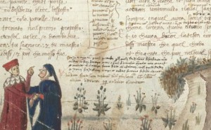 collezionismo di dante in casa trivulzio