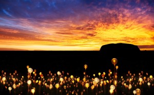 Field of Light installazione light art Australia Ayers Rock