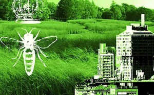 mi-mi-apiari-artista-milano