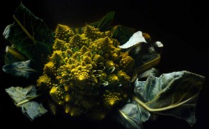 Emanuele Dascanio, Amplecti vitae - oil on canvas - 160x110 - 2013