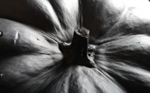 Mostra Does Your Coffe Taste the Same Every Morning? presso CUT Milano con Natalie Silva