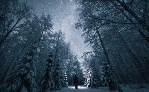 Siena Art Photo Travel Festival © Tiina Törmänen