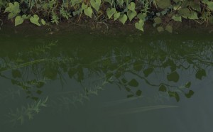 Eelco Brand - Animatio SLmovi_2014_3D_animation_continuous