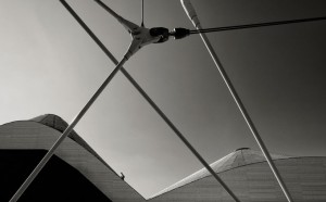 expo2015 by Matteo Cirenei in mostra da Expowall Milano