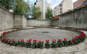 alfredo jaar che i fiori sboccino fondazione merz torino