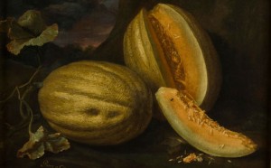 Bartolomeo Bimbi, Popone di Ponte a Cappiano, 1694, olio su tela, cm 78 x 97,5, Firenze, Museo di Storia Naturale, Sezione Botanica. Iscrizioni: “Ponte a Cappiano 1694/ libbre 29 ½”