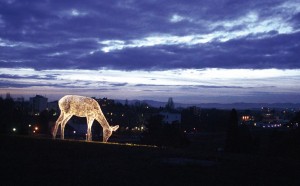 canary-wharf-winter-lights-festival-2016