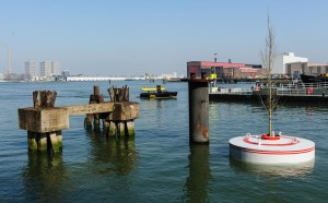 jorge bakker bobbing forest rotterdam