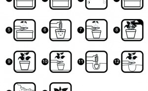 laboratorio bambini pav parco arte vivente torino