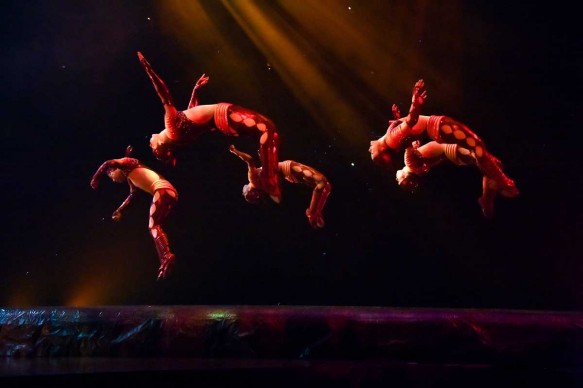 Cirque du Soleil, Varekai