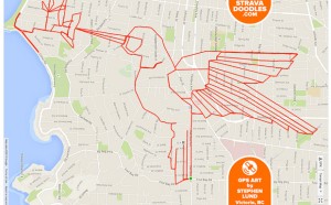 Stephen Lund hummingbird-gps-doodles-artista-ciclista-canada