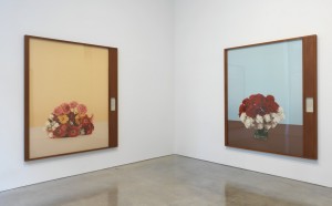 taryn simon gagosian gallery new york