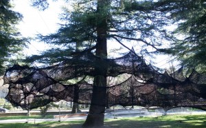 NumenFor Use (Foto credit Nikola Radeljkovic, NumenFor Use