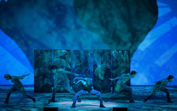'One Night for ONE DROP': serata benefica del Cirque du Soleil allo Smith Center, 18 marzo 2016. Photo by Erik Kabik