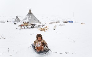 Canada-Manitoba-Churchill-Ours-polaire-et-oursons-Photo-Michel-Rawicki-Touched by the cold mostra Parigi.jpg
