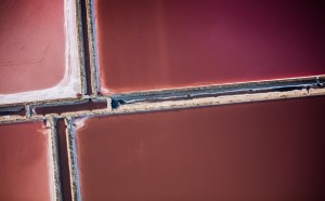 Saline nella riserva naturale di Margherita di Savoia, Puglia, 2015 © Massimo Sestini