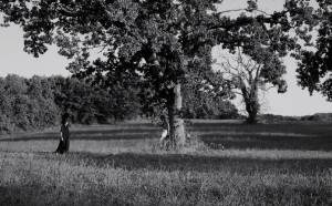 Sebastian0 film Fabrizio Ferraro