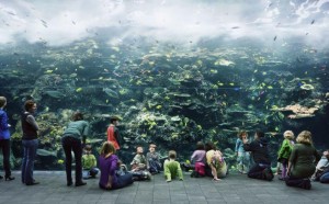 Thomas Struth-Museum-Folkwang Essen mostra fotografia