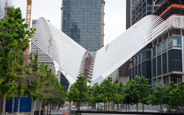 World Trade Center Transportation Hub, Santiago Calatrava Photo by Brian Lauer