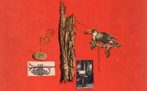 einaudi-libro-le-macchine-di-munari