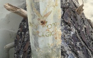 new york pelagic disegno in bottiglia progetto arte