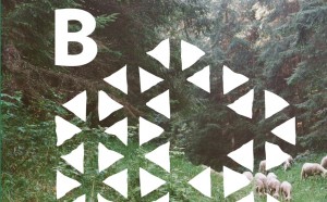 nido-spazio-b-torino