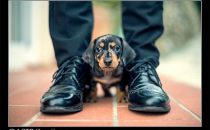 Davide Lopresti, Portovenere (SP) - Italia, terzo classificato Sezione Amici di Casa - Oasis Photocontest 2015