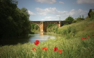 siena-in-cammino-giubileo-via-francigena