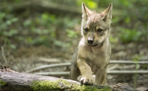 Les Saisons © Mathieu Simonet