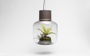 NUI Studio mygdal lampada