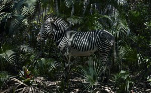 Simen Johan, Untitled #181, 2015. From the series Until the Kingdom Comes Digital C-Print 62 × 79 1/2 in 157.5 × 201.9 cm © Simen Johan, Courtesy Yossi Milo Gallery, New York