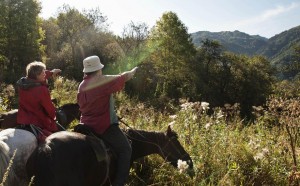 premio carlo scarpa per il giardino 2016