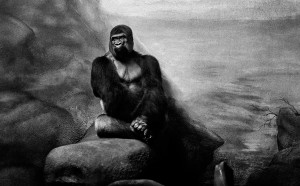 Andrea-Alessio-Un-Natural-Bestiary-fotografia