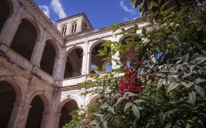 Palazzo-Venezia-Roma ph-Claudia-Pajewski