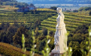 Rosazza Friuli Venezia Giulia Terra dell'Oro Luigi Vitale