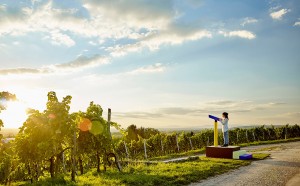 Tobias_REHBERGER 24 stops vitra campus fondation beyeler